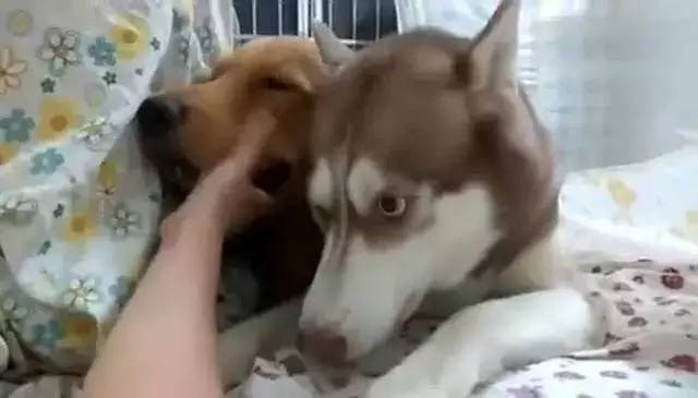 米兰·(milan)中国官网