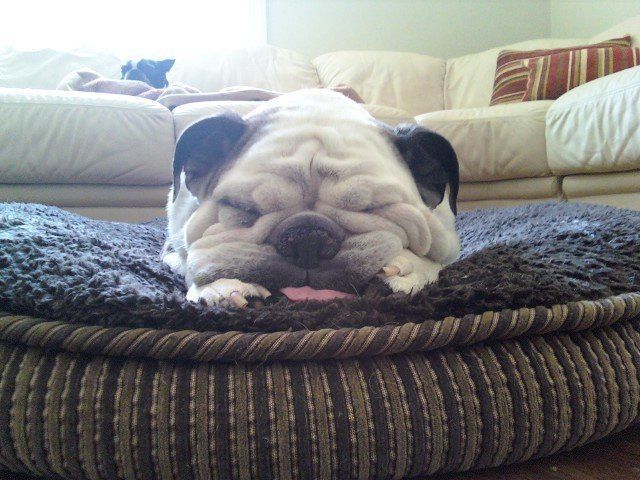 米兰·(milan)中国官网