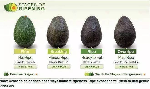 米兰·(milan)中国官网