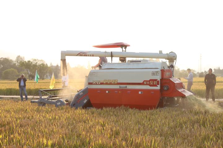 《权力游戏》第7季开播 一大堆看片网哭了‘米兰·(milan)中国官网’(图1) 米兰官方网站