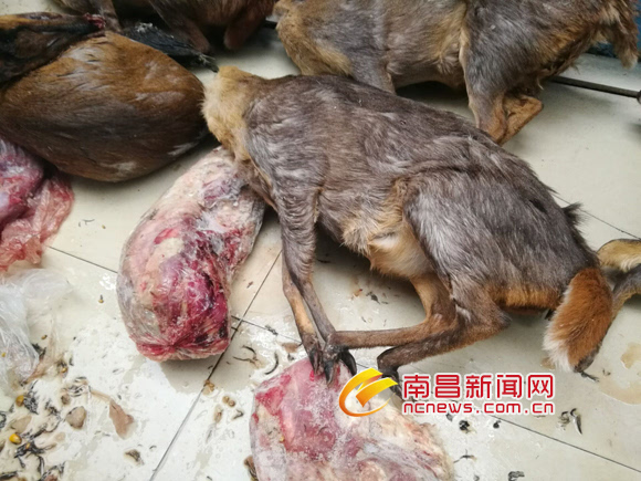 【米兰官方网站】赖晗梅名校长工作室五乐课程,乐翻了龙泉二小娃!(图2) 米兰·(milan)中国官网