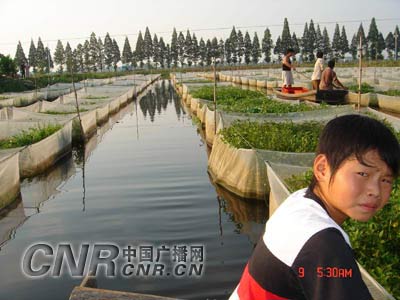 日本电视台将用松来未祐的事迹介绍CAEBV-milan米兰(图4) 米兰官方网站