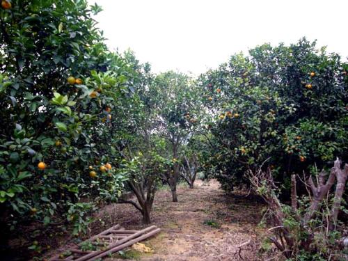 米兰·(milan)中国官网