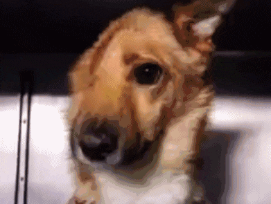 孩子被幼儿园劝退,家长跑去理论,园长一句话怼的家长无言反驳!|米兰·(milan)中国官网(图4) milan米兰