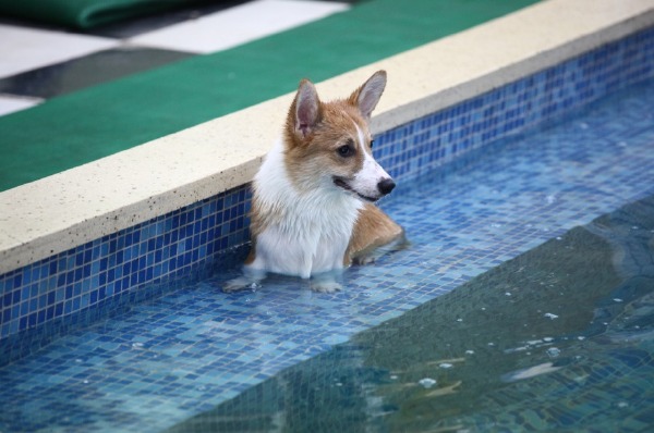 米兰·(milan)中国官网