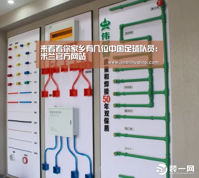 来看看你家乡有几位中国足球队员:米兰官方网站(图2) milan米兰
