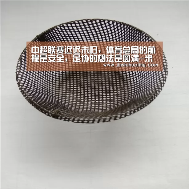 中超联赛迟迟未归,体育总局的前提是安全,足协的想法是圆满-米兰·(milan)中国官网(图1) 米兰官方网站