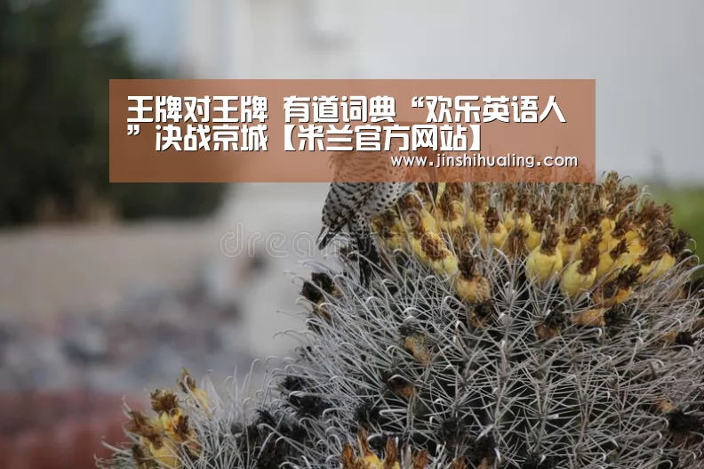 王牌对王牌 有道词典“欢乐英语人”决战京城【米兰官方网站】(图1) 米兰·(milan)中国官网