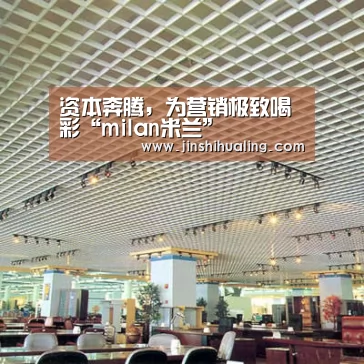 资本奔腾,为营销极致喝彩“milan米兰”(图2) 米兰官方网站