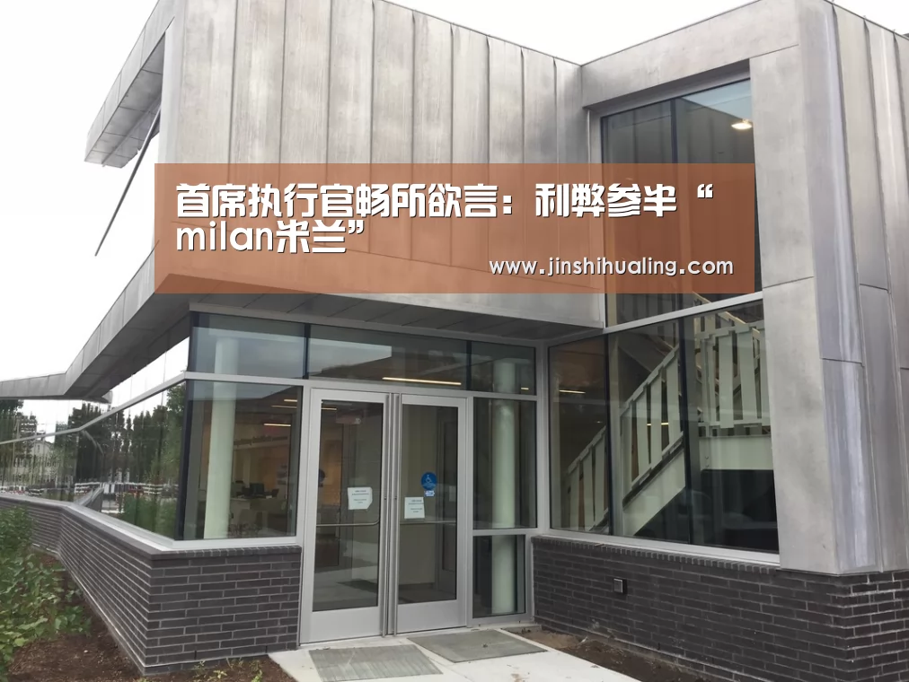 首席执行官畅所欲言:利弊参半“milan米兰”(图1) 米兰官方网站