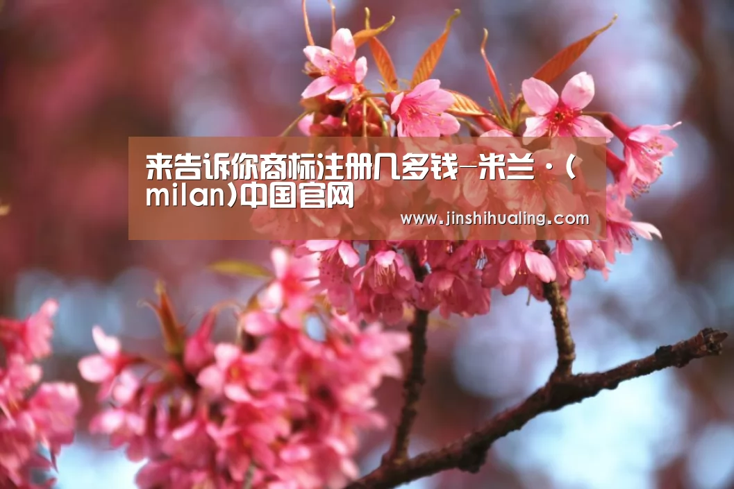 来告诉你商标注册几多钱-米兰·(milan)中国官网(图1) 米兰·(milan)中国官网