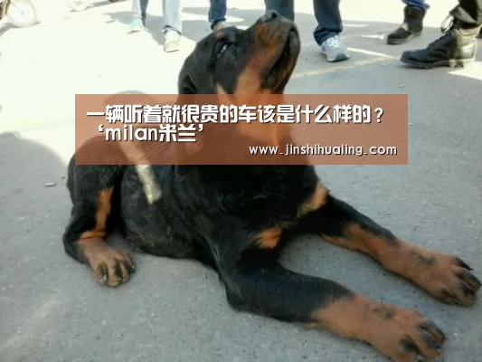 米兰·(milan)中国官网