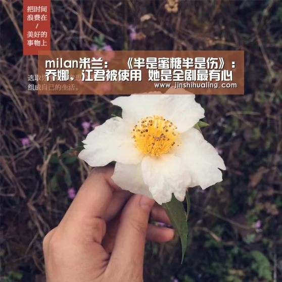 milan米兰:
《半是蜜糖半是伤》:乔娜、江君被使用 她是全剧最有心机的女人(图4) milan米兰