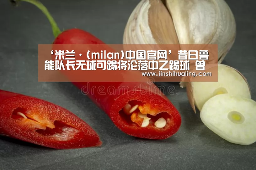 ‘米兰·(milan)中国官网’昔日鲁能队长无球可踢将沦落中乙踢球 曾为球队立下过赫赫战功(图1) milan米兰