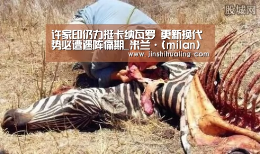 许家印仍力挺卡纳瓦罗 更新换代势必遭遇阵痛期_米兰·(milan)中国官网(图2) 米兰官方网站